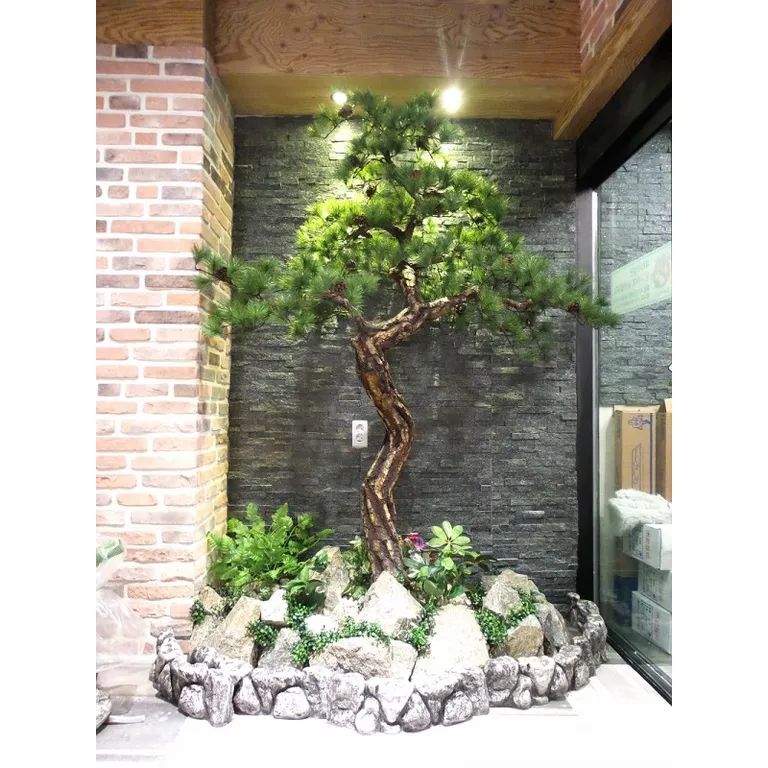 굽은 줄기의 조경 소나무를 돌 경계석으로 두른 화단에 심어 놓은 모습